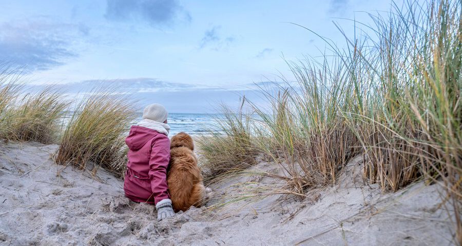 Im Winter bietet die Ostsee Schleswig-Holstein ein ganz besonderes Schauspiel. Hundebesitzer und ihre vierbeinigen Lieblinge können es entspannt genießen. Im Winter bietet die Ostsee Schleswig-Holstein ein ganz besonderes Schauspiel. Hundebesitzer und ihre vierbeinigen Lieblinge können es entspannt genießen. Foto: djd/Ostsee-Holstein-Tourismus/Oliver Franke.